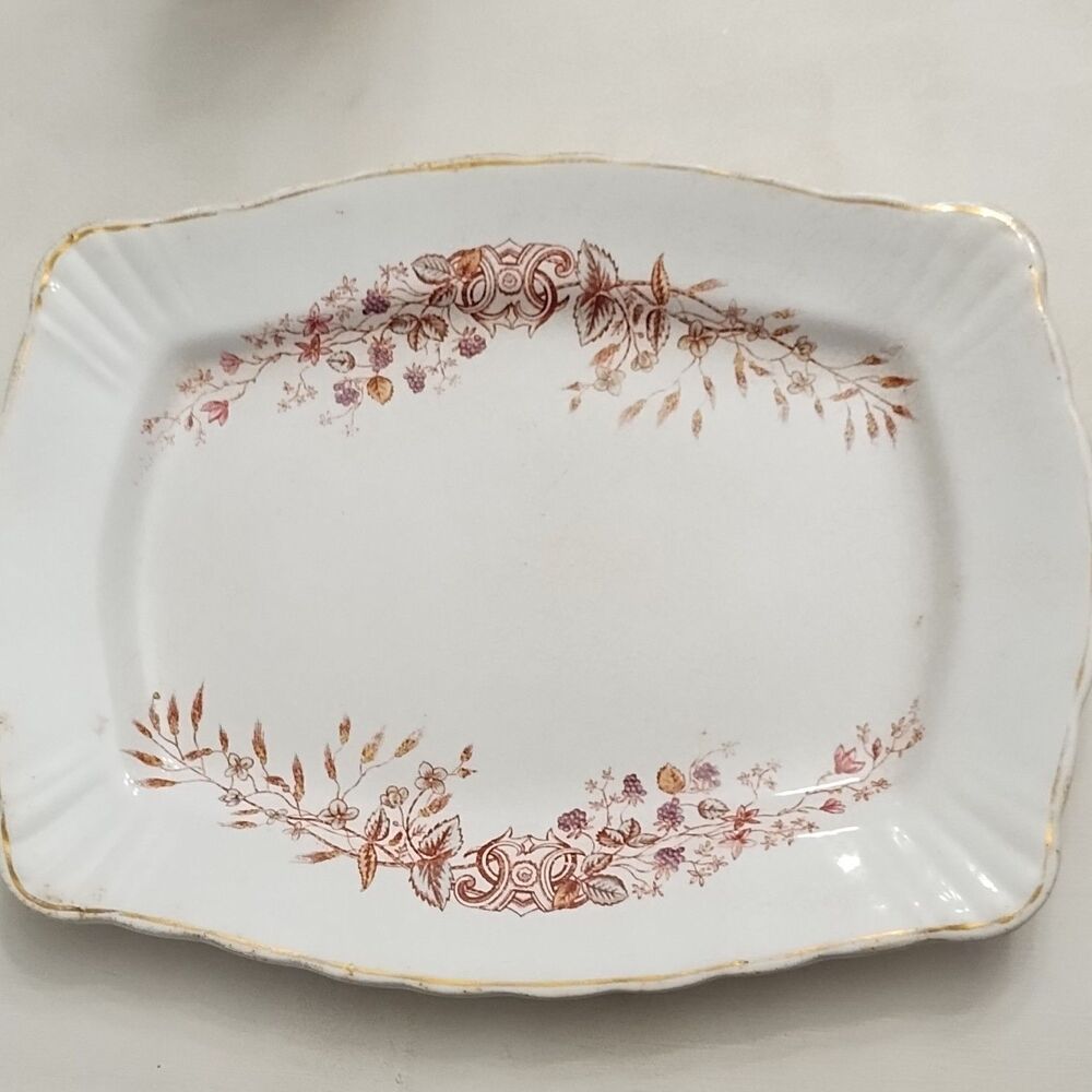 Antique John Edwards England Ironware Transferware Platter Porcelaine de Terre